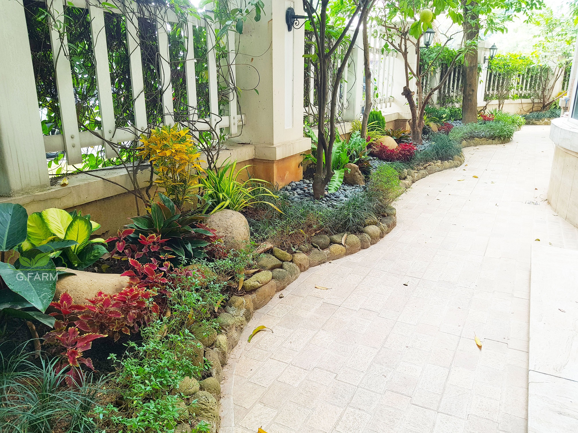 Thiết kế và thi công sân vườn tuyệt đẹp tại Vinhomes Long Biên